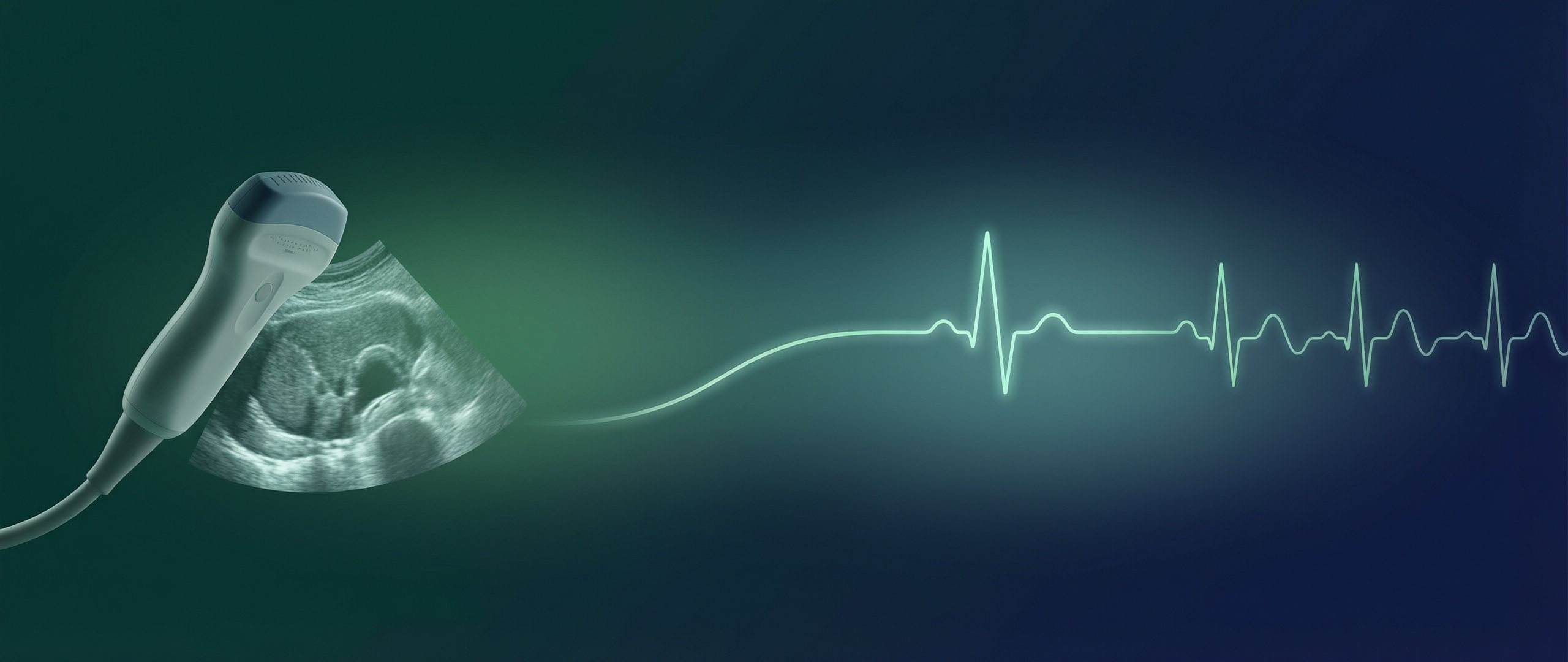 Periodmed dual-track strategy: ultrasound imaging and life support