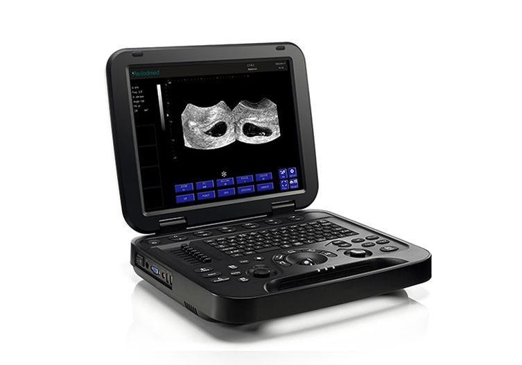 Veterinary Ultrasound