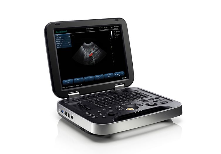 Veterinary Ultrasound