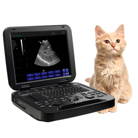 Veterinary Diagnostic Ultrasound System PU-VDL151A