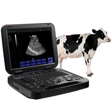 Veterinary Diagnostic Ultrasound System PU-VDL151A