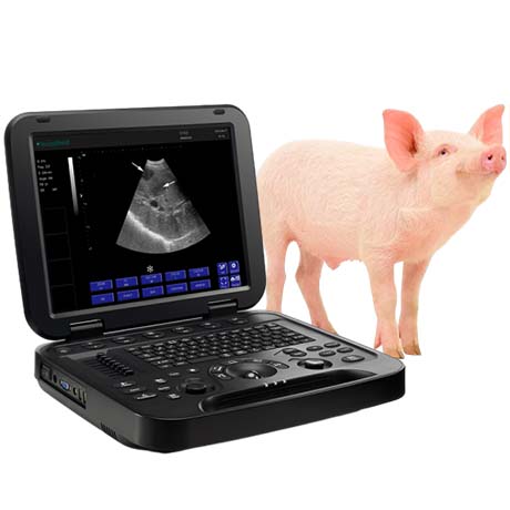 Veterinary Diagnostic Ultrasound System PU-VDL151A