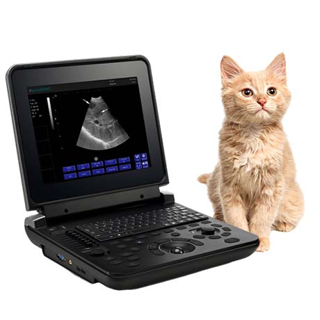 Veterinary Diagnostic Ultrasound System PU-VDL121A