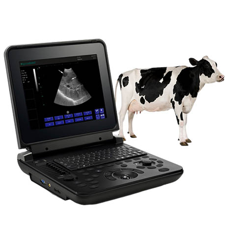 Veterinary Diagnostic Ultrasound System PU-VDL121A