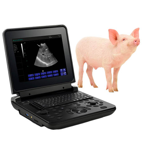 Veterinary Diagnostic Ultrasound System PU-VDL121A