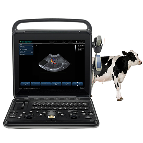 Portable Veterinary Ultrasound System PU-VP151A