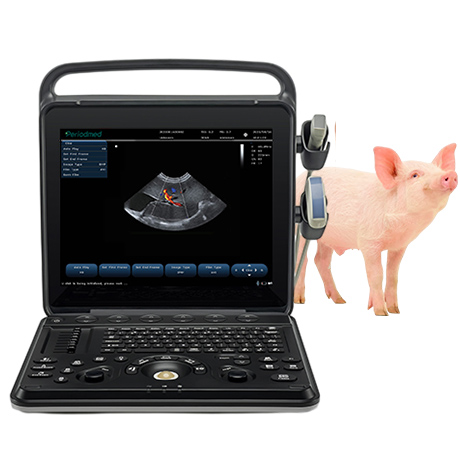 Portable Veterinary Ultrasound System PU-VP151A