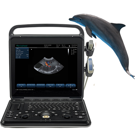 Portable Veterinary Ultrasound System PU-VP151A