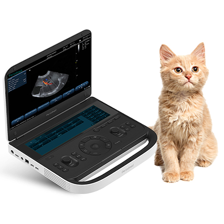 Premium Veterinary Diagnostic Ultrasound System Revo 9 VET