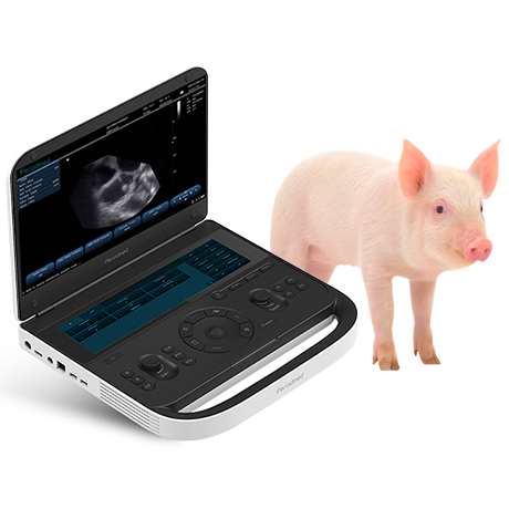 Premium Veterinary Diagnostic Ultrasound System Revo 9 VET