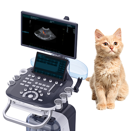 Premium Veterinary Diagnostic Ultrasound System PU-VT241A