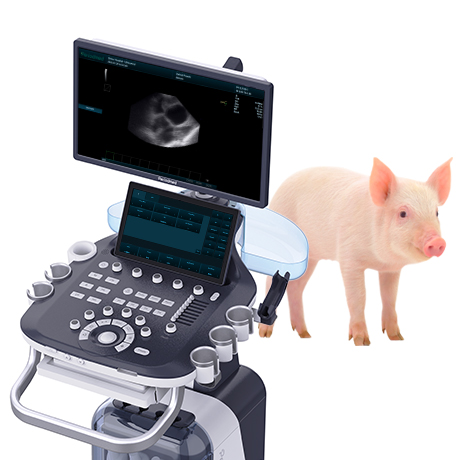 Premium Veterinary Diagnostic Ultrasound System PU-VT241A