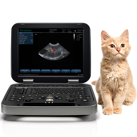 Portable Veterinary Ultrasound System PU-VL151B