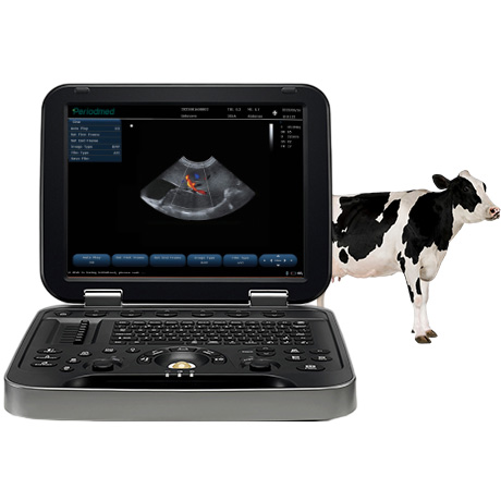 Portable Veterinary Ultrasound System PU-VL151B