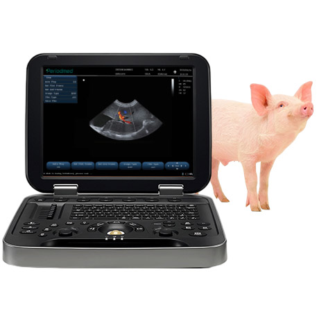 Portable Veterinary Ultrasound System PU-VL151B