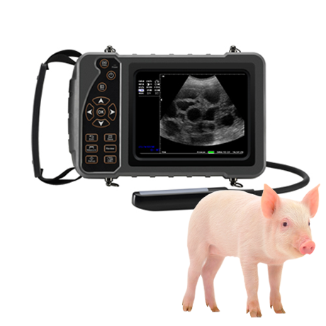 Veterinary Ultrasound Portable Color Doppler Ultrasound Machine PU-VP051A