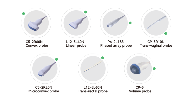 Abdominal Ultrasound