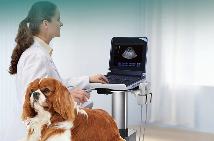 PU-VDL121A - 副本 (4)