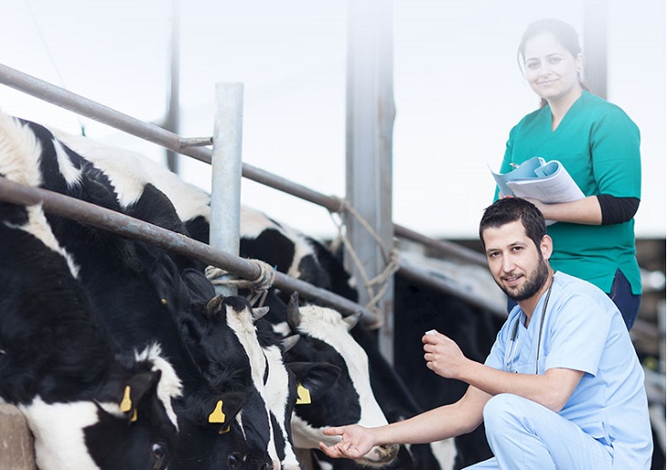 PUVP051A英文详情页_02 - 副本