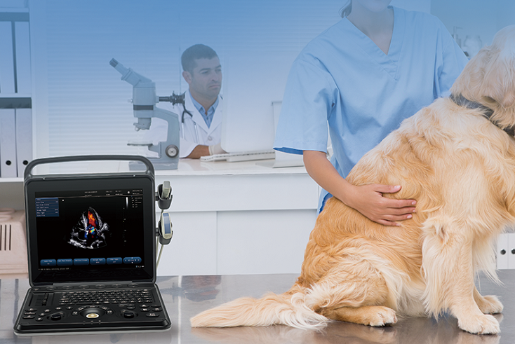 VL151A ultrasound device