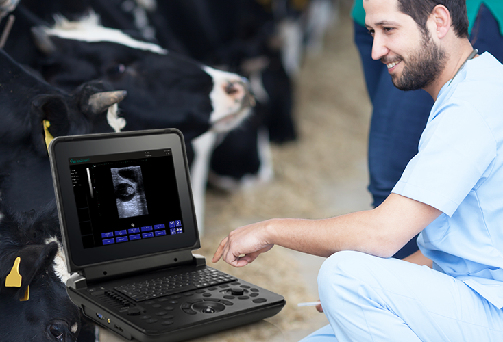 VDL151A 牛 拷贝 2