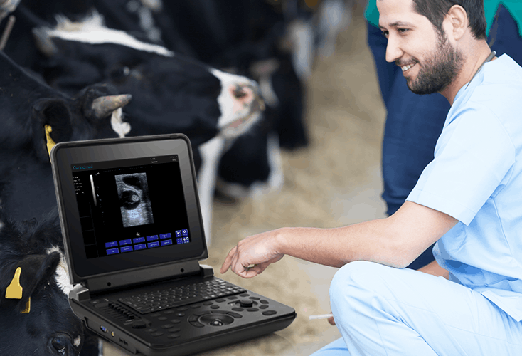 Cattle ultrasound machine