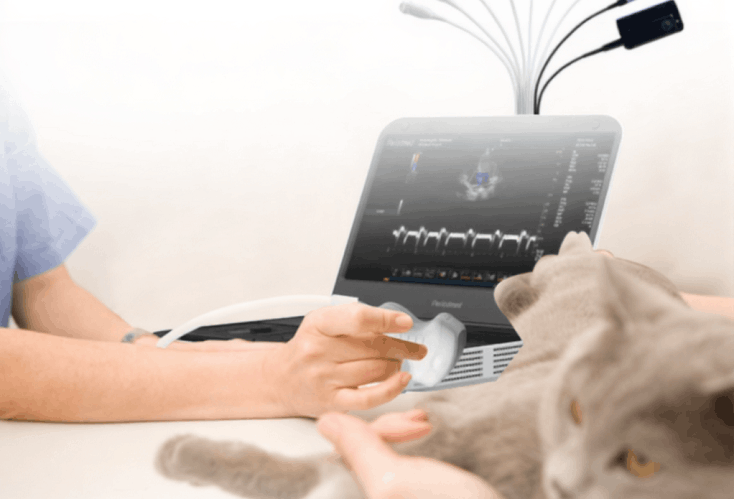 vet ultrasound revo 9