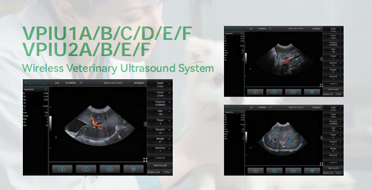 Wireless handheld vet ultrasound imaging