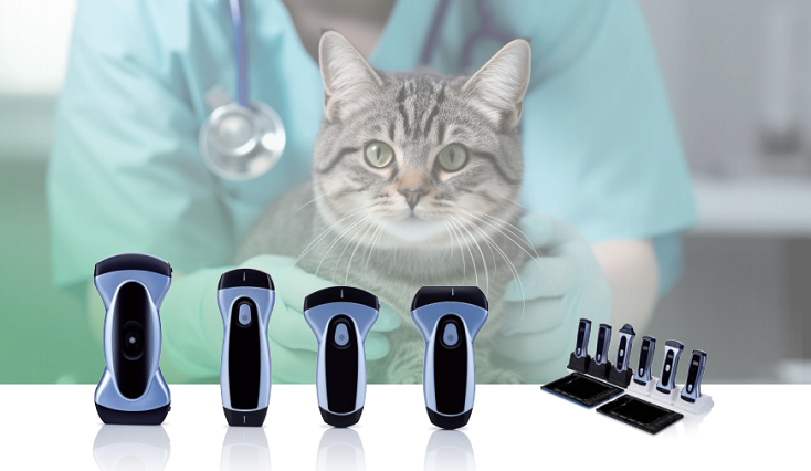 Wireless handheld vet ultrasound
