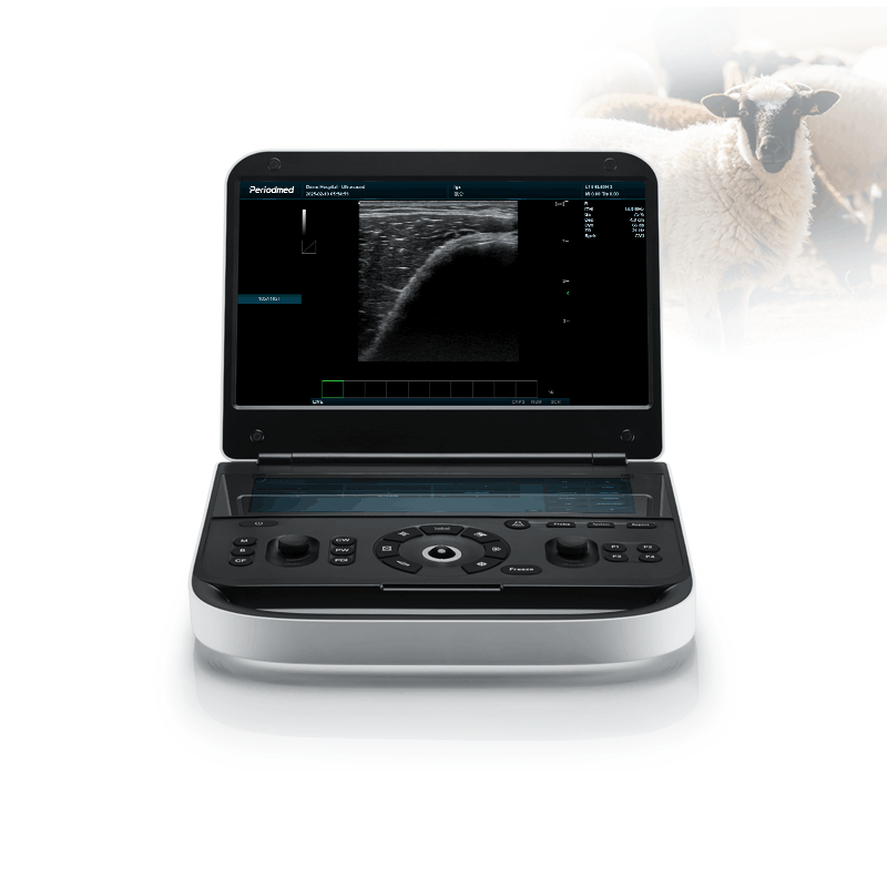 Goat ultrasound Revo 9