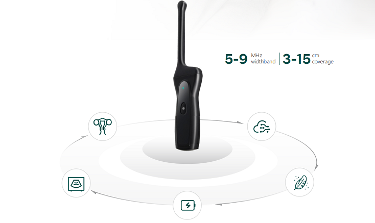 Transvaginal Ultrasound Probe PIU1E  witdthband