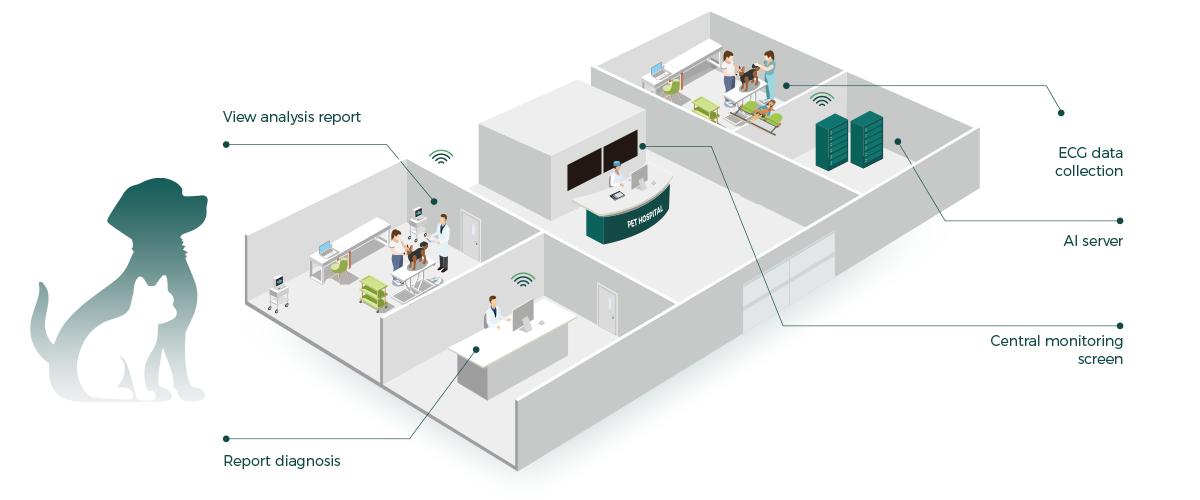 patient monitor