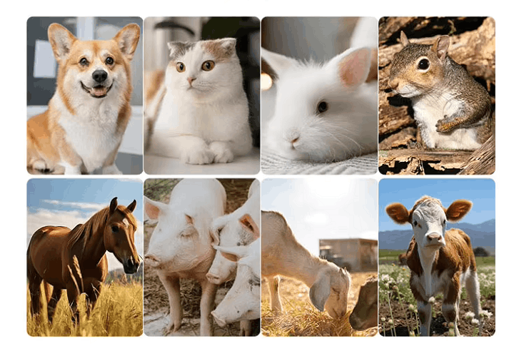 Animal applications